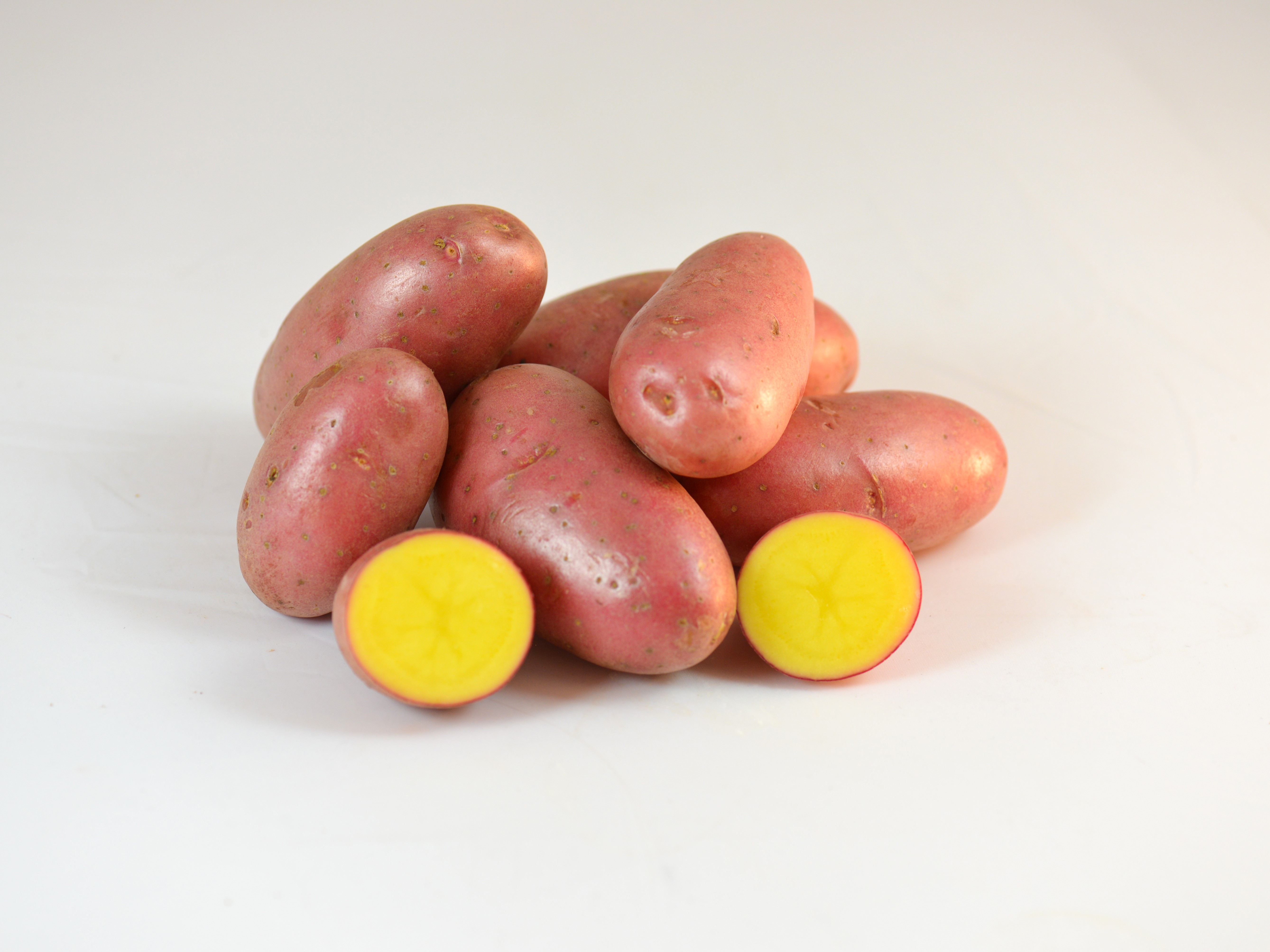 Red Potato Varieties Sunrain Potatoes